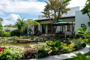 Toàn cảnh khu vườn phía sau ngôi nhà của gia chủ